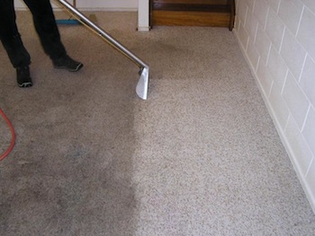 cheap carpet cleaning in eastbourne